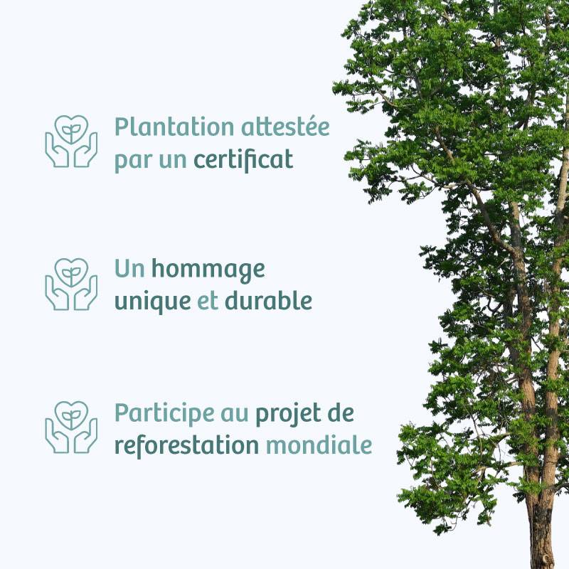 Planter un arbre en hommage à Mme Ginette BREHAULT Née AVIGNON